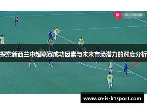 探索新西兰中超联赛成功因素与未来市场潜力的深度分析